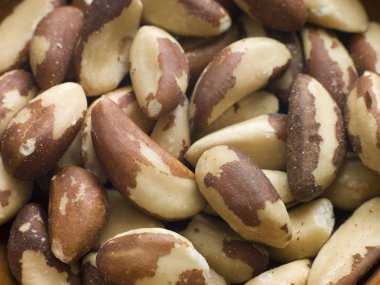 Brazil Nuts clipart