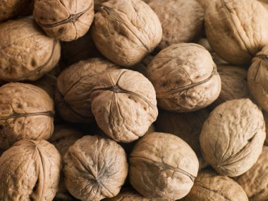 Walnuts clipart