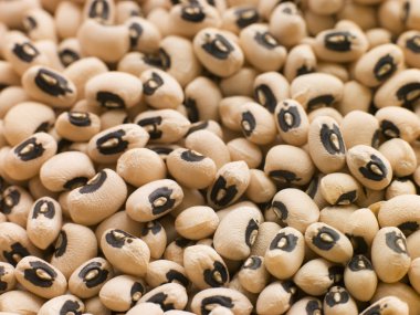 Black Eyed Beans clipart