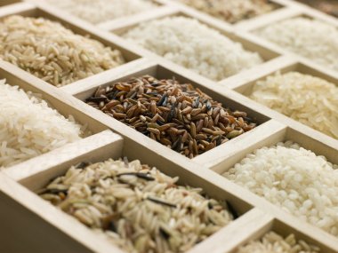 Selection Of Rices clipart