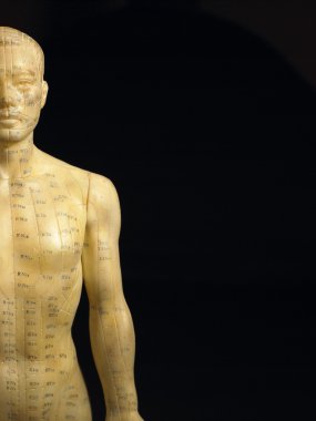 Meridian Lines On An Acupuncture Figurine clipart