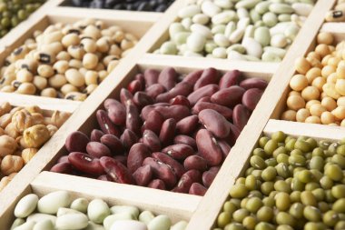 Selection Of Beans clipart