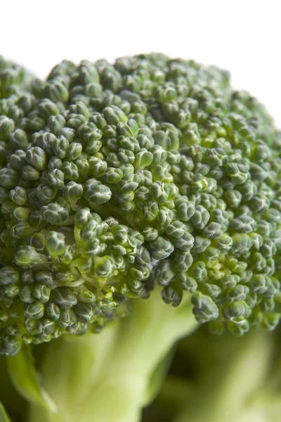 Broccoli Floret — Stock Photo, Image