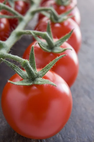 Tomates de videira — Fotografia de Stock