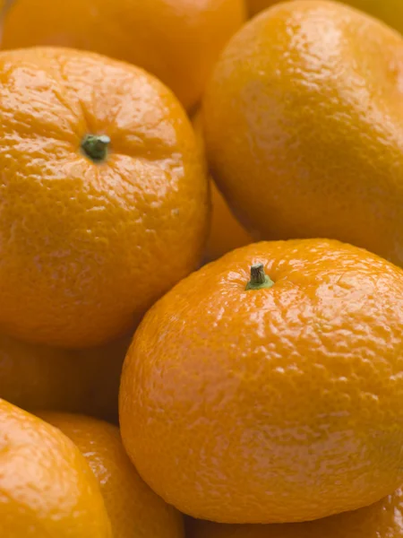 无核小蜜橘 — 图库照片