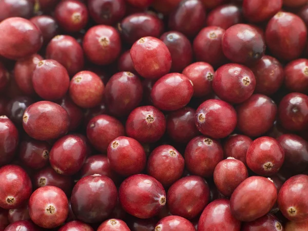 Fresh Cranberries — Stock Photo, Image
