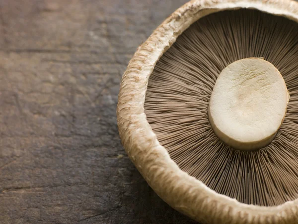 Portobello Mushroom — Stockfoto
