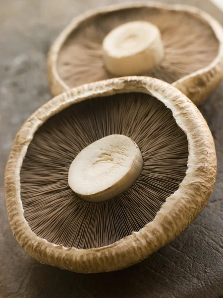 Zwei Portobello Pilze — Stockfoto