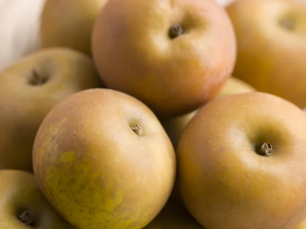 Яблоки Руссеты — стоковое фото