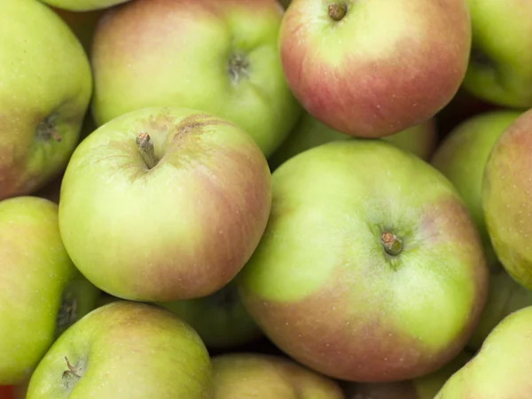 Äpfel Rind — Stockfoto