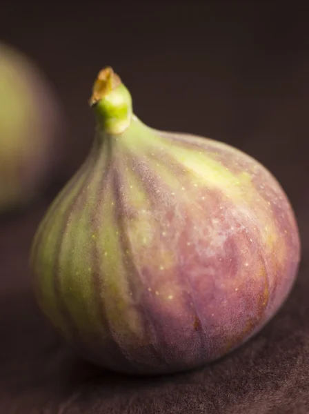 Fresh Fig — Stock Photo, Image