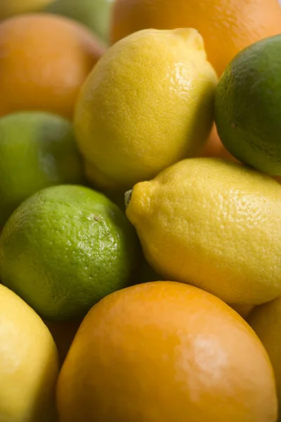 Selección Frutas Cítricas —  Fotos de Stock