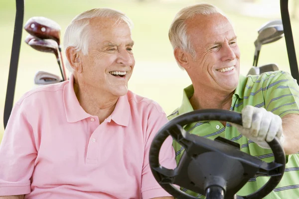Manliga Vänner Njuta Omgång Golf — Stockfoto