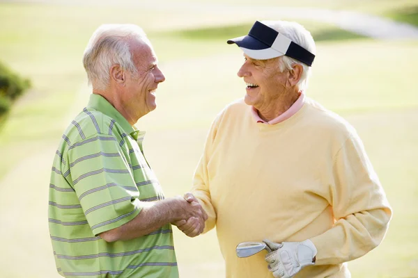 Male Friends Enjoying A Game Of Golf — Stock Photo, Image