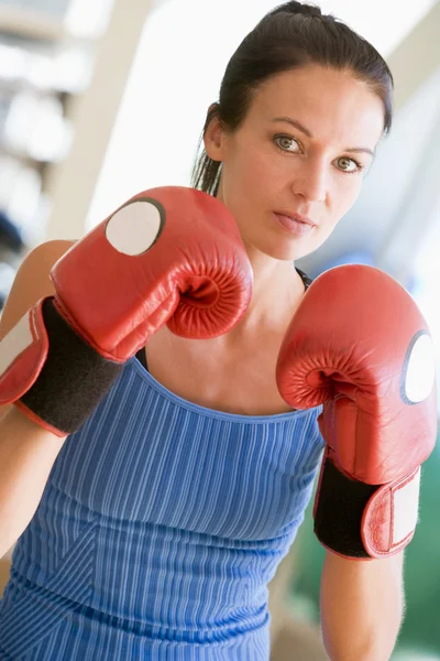 Woman Boxing Gym — Stock fotografie