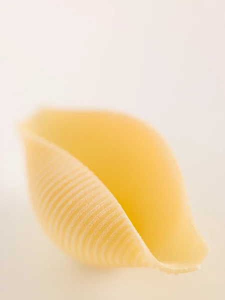 stock image Pasta, Conchiglioni