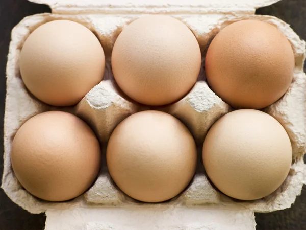Verse eieren in doos — Stockfoto