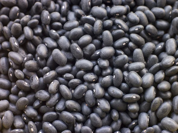 Black Turtle Beans — Stock Photo, Image