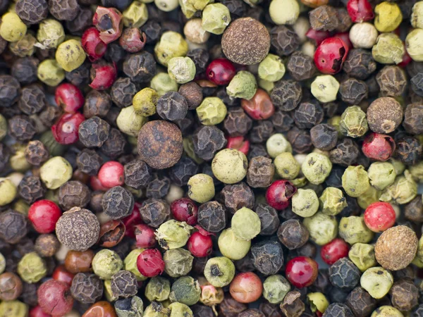 Blandade peppar liktornar1 つの香り高いモリーユ茸 — Stockfoto