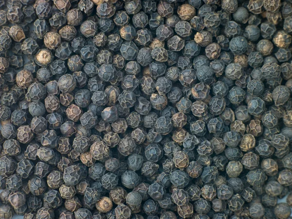 Black Pepper Corns — Stock Photo, Image