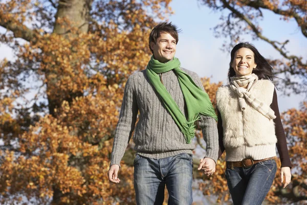 Giovane coppia a piedi nel parco Holding mani — Foto Stock