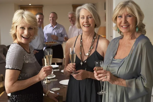 Bir Bardak Şampanya Bir Akşam Yemeği Partide Eğleniyor Arkadaşlar — Stok fotoğraf