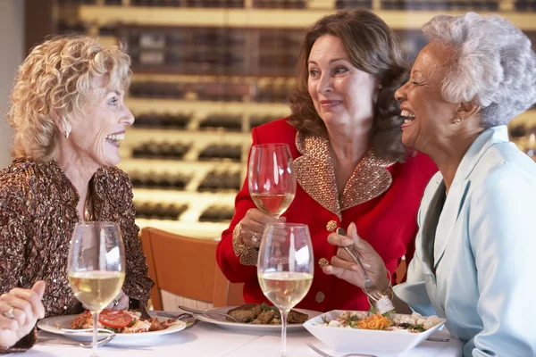 Friends Having Dinner Together Restaurant — Stock Photo, Image