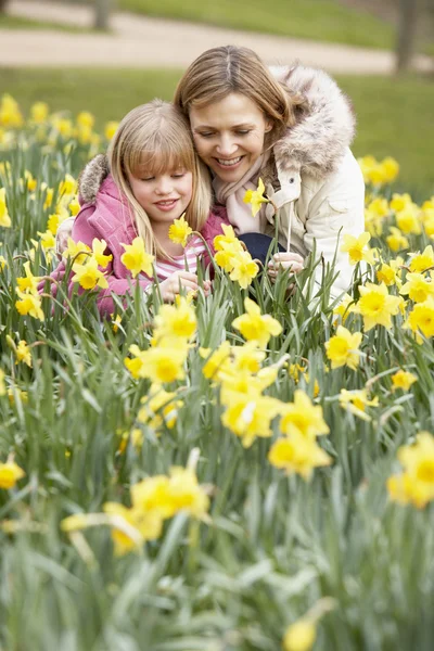 Μητέρα και κόρη στην daffodils — Φωτογραφία Αρχείου