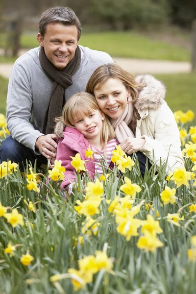 Grupo familiar em Daffodils — Fotografia de Stock