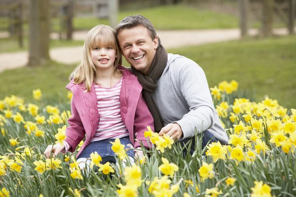 Far och dotter i daffodilsfather och dotter i påskliljor — Stockfoto