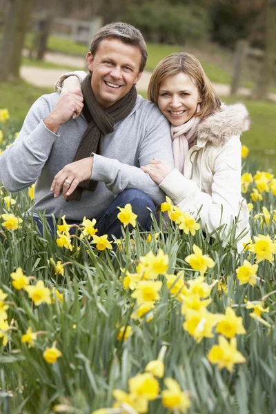 Casal Ajoelhamento Daffodils — Fotografia de Stock
