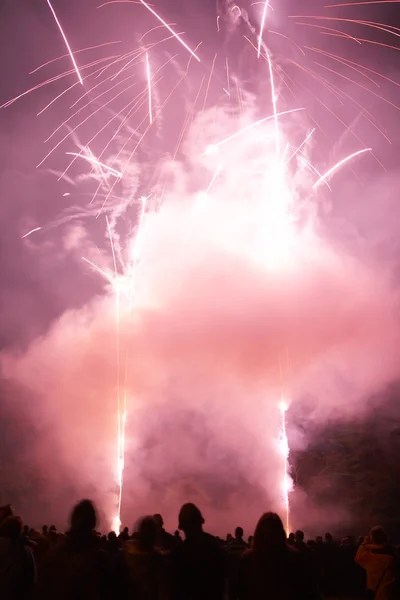 Artificii pe timp de noapte — Fotografie, imagine de stoc