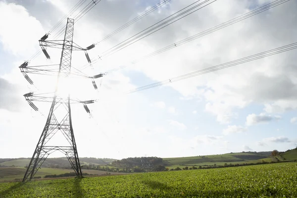 Pilones de electricidad en un paddock — Foto de Stock