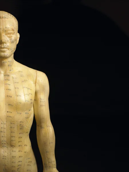 Meridianlinjerna på en akupunktur statyett — Stockfoto