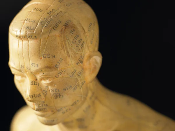 stock image Meridian Lines On An Acupuncture Figurine