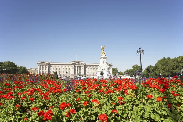 Palácio Buckingham Com Flores Florescendo Jardim Rainha — Fotografia de Stock