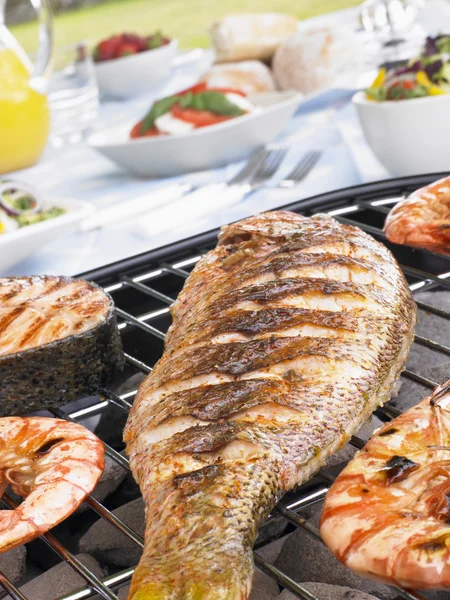 Vis en garnalen koken op een grill — Stockfoto