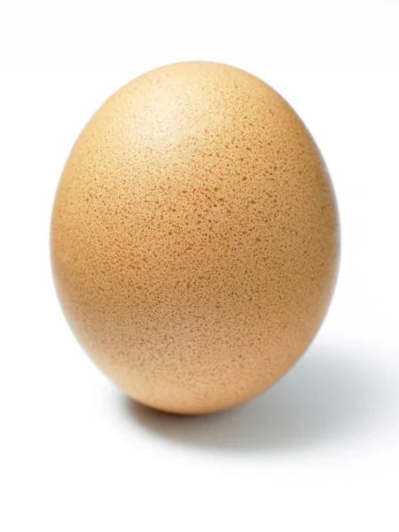 Студийный выстрел из яйца — стоковое фото