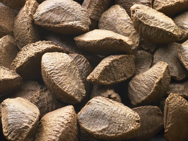 Brazil Nut Shells — Stock Photo, Image