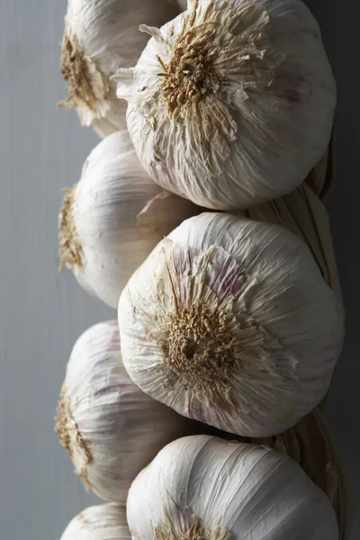Garlic Cloves Hanging String — Stock Photo, Image