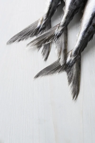 Fresh Fish On Bench — Stock Photo, Image