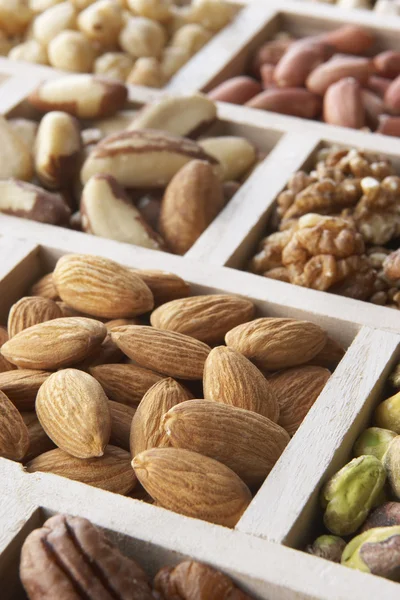 Variety Nuts — Stock Photo, Image