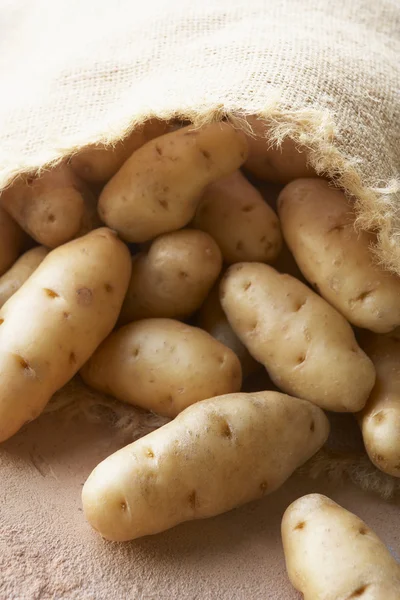 在粗麻布袋新鲜土豆 — 图库照片