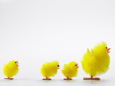 Family Of Easter Chicks clipart