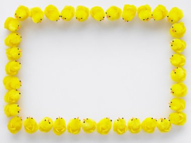 Easter Chicks Standing In A Square clipart