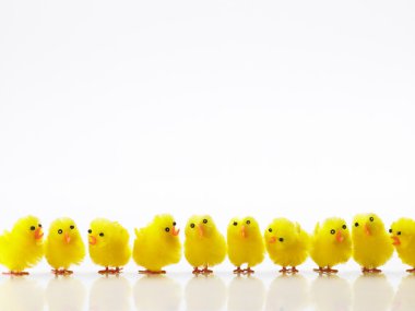 Easter Chicks In A Row clipart