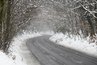 Country Road Lined With Snow And Skeletal Trees clipart