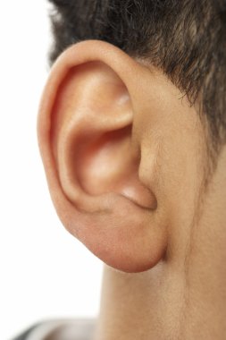 Close-Up Of Young Boy's Ear clipart