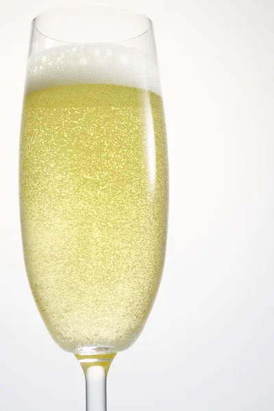 Single Champagne Flute — Stock Photo, Image
