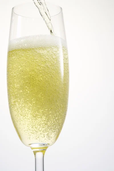 Één champagne fluit — Stockfoto